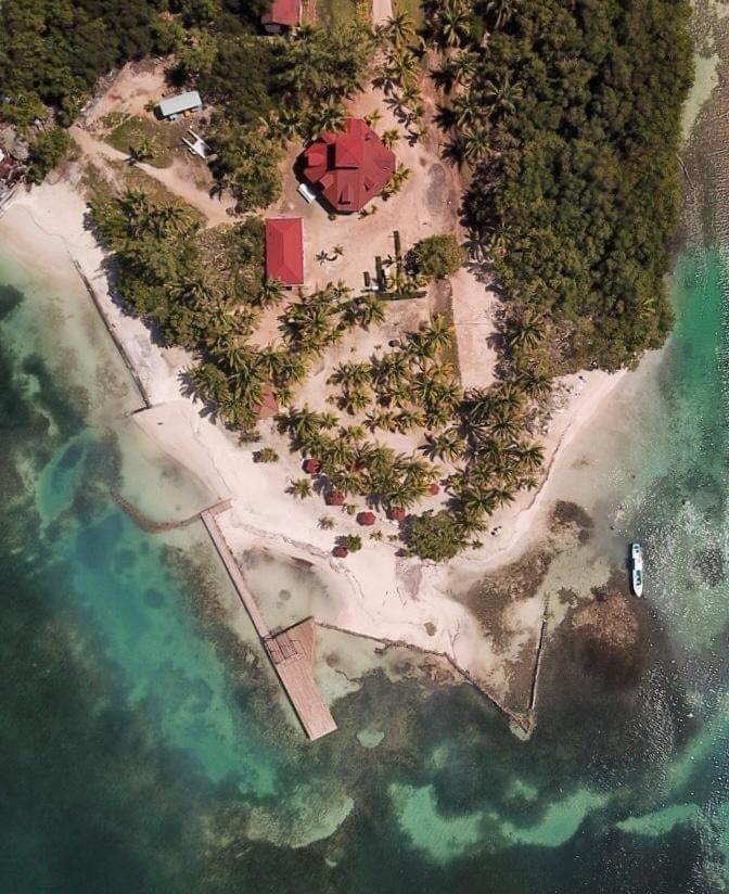 Sea Eye Hotel - Tropical Building Utila Exteriör bild
