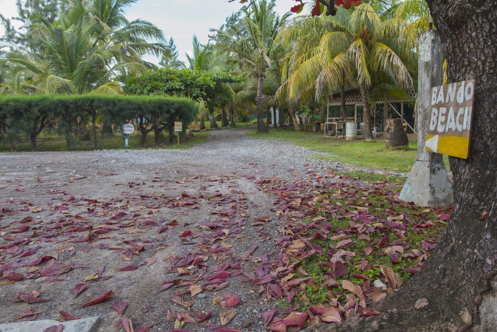 Sea Eye Hotel - Tropical Building Utila Exteriör bild